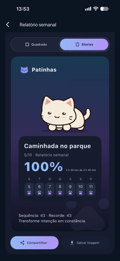 Relatórios de evolução no Patinhas