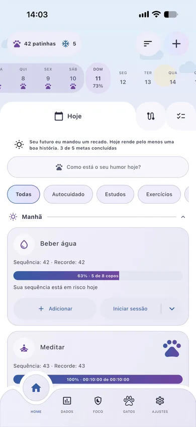 Segunda demonstração de tema do Patinhas