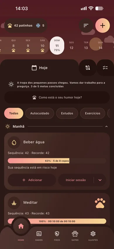 Terceira demonstração de tema do Patinhas